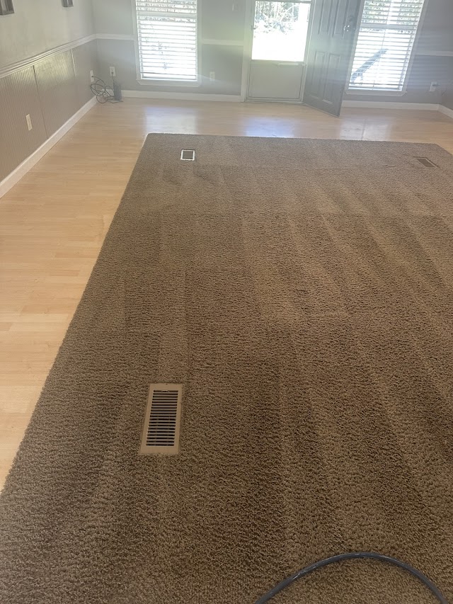 Elite Carpet Cleaners photo 3