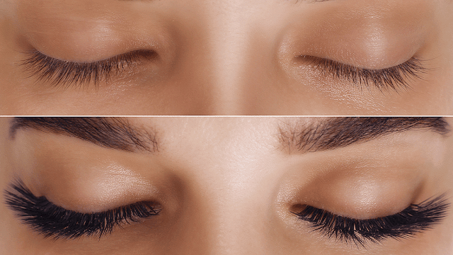 Elite Lashes photo 3