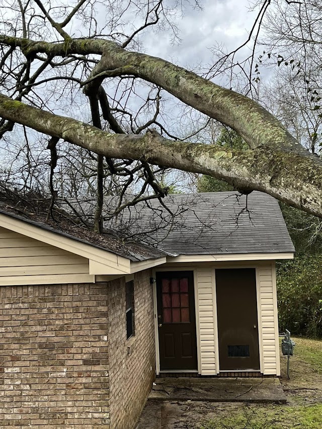 Elite Tree Service