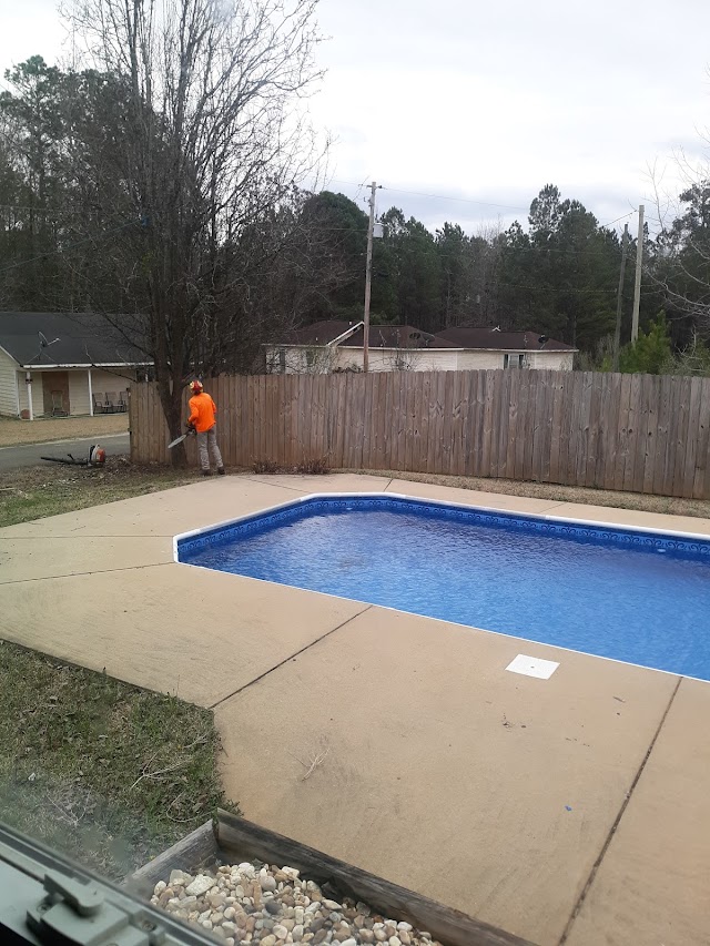 Elite Tree Service photo 4