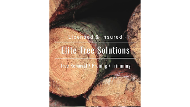 Elite Tree Solutions