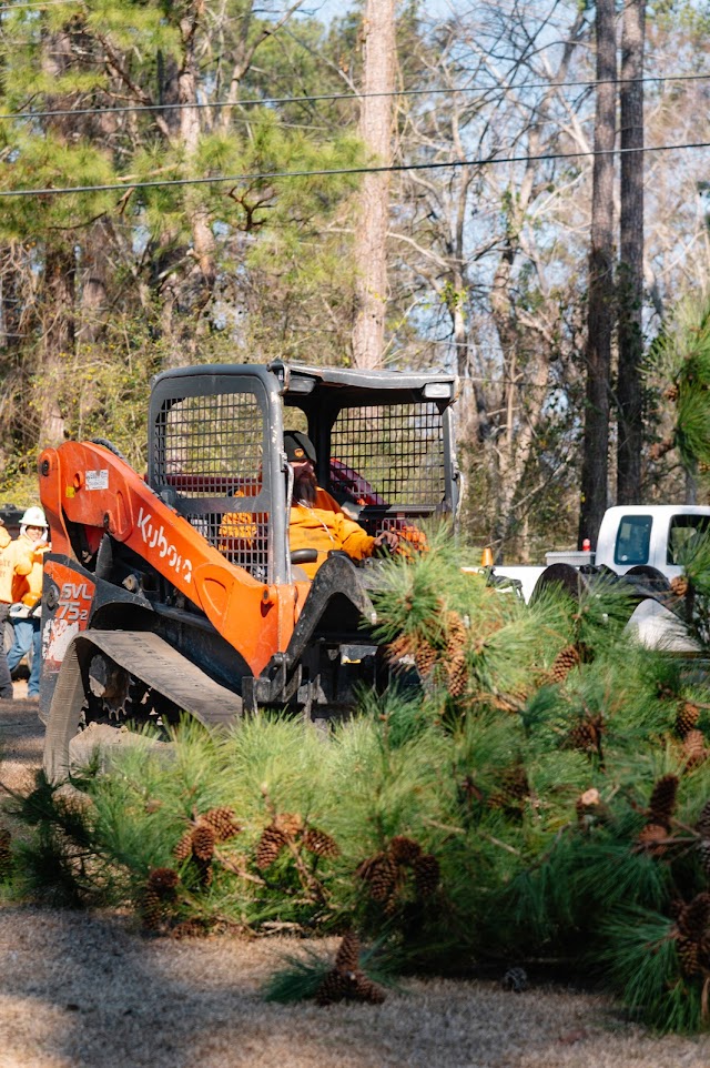 Empire Tree LLC photo 2