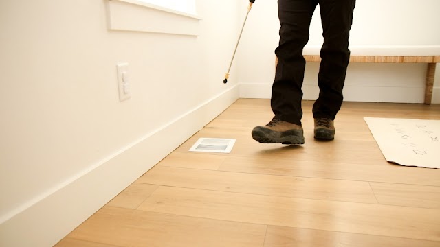Evo Pest Control photo 2