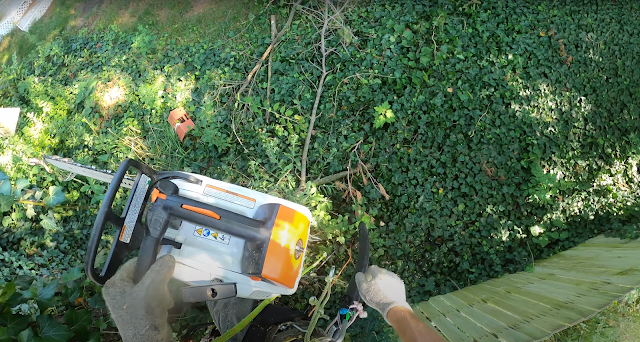 Expert Tree Service Montgomery photo 2