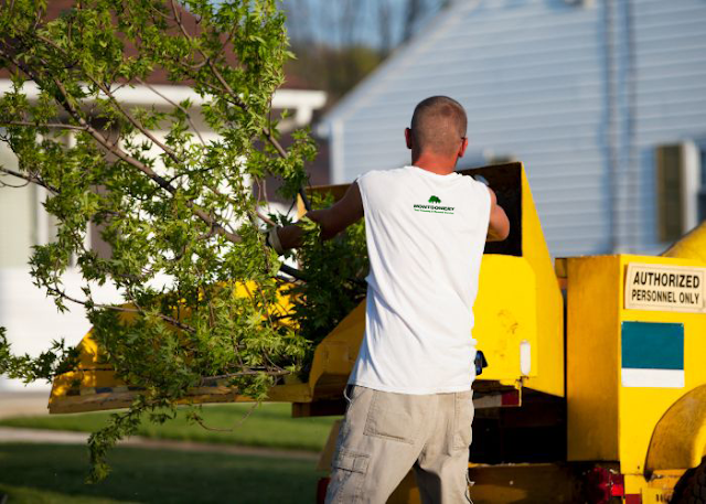 Expert Tree Service Montgomery photo 4
