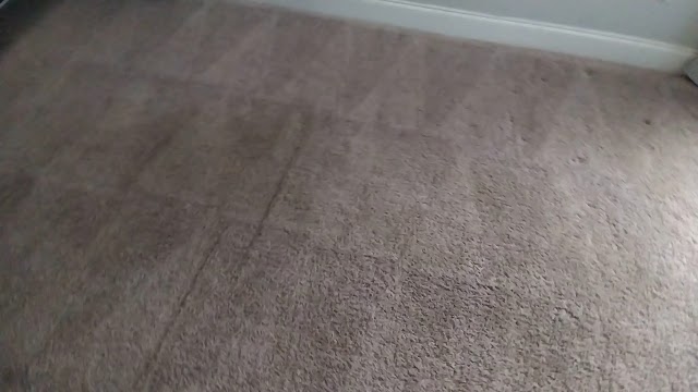 Extreme Carpet & Upholstery Cleaning photo 3