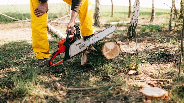 Fall Line Tree Service LLC