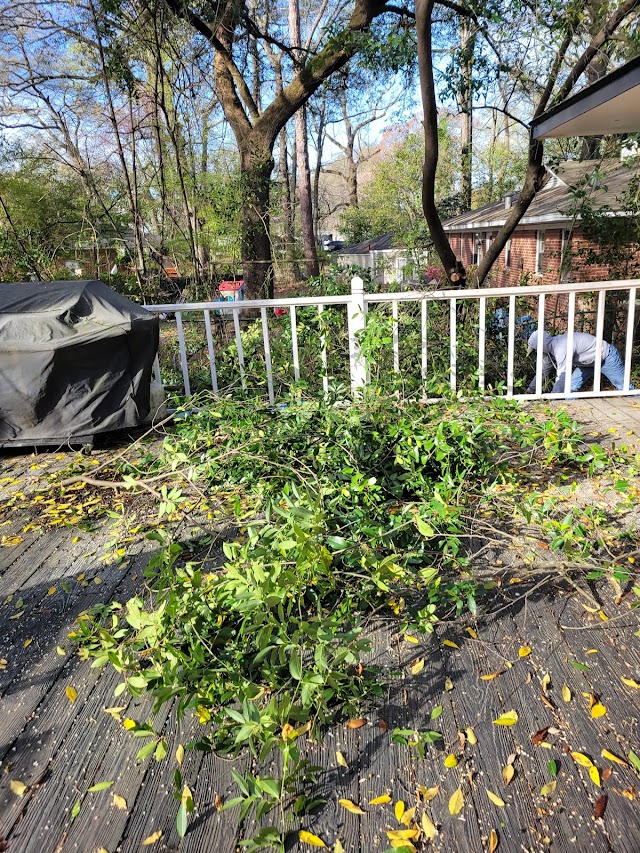 Fall Line Tree Service LLC photo 3