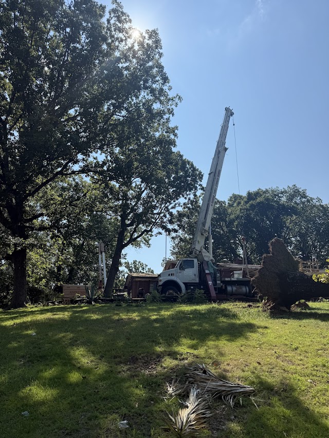 Fall Line Tree Service LLC photo 4
