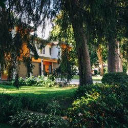 Family Tree Service