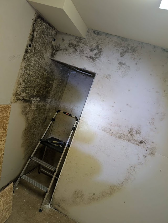 Fast Mold Testing - Atlanta photo 3