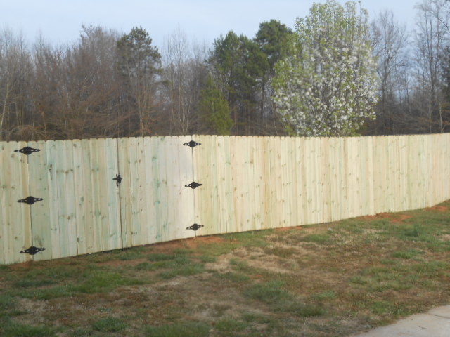 Fence Man