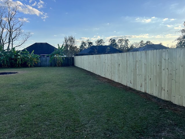 Fences by Mike