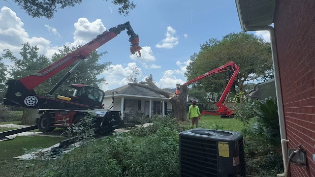 Finch’s Tree Service photo 3
