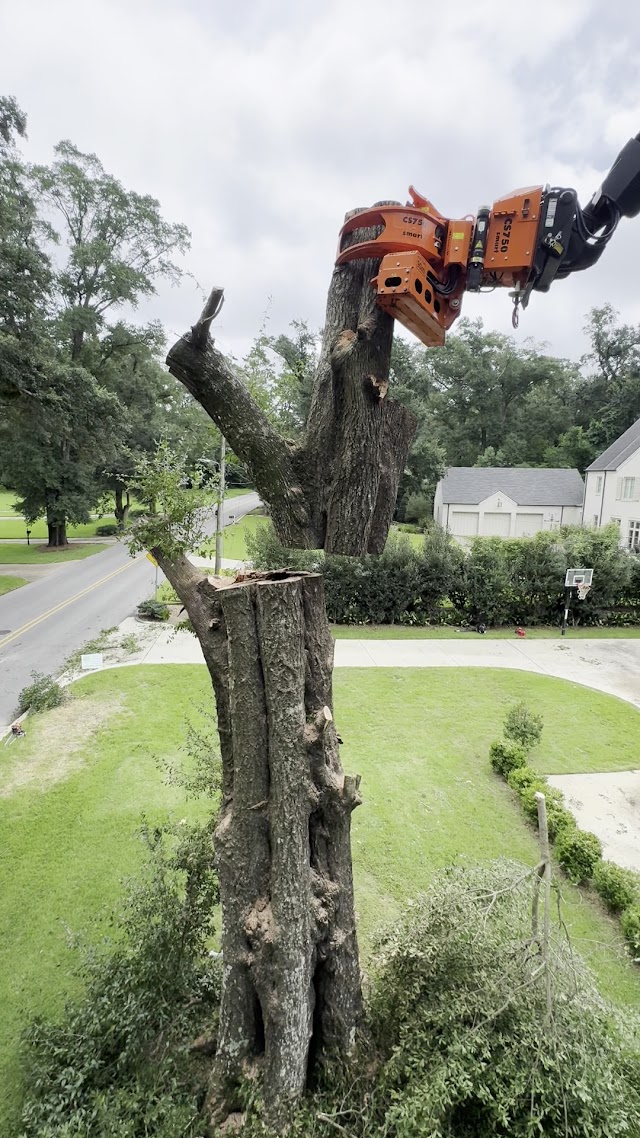Finch’s Tree Service photo 4