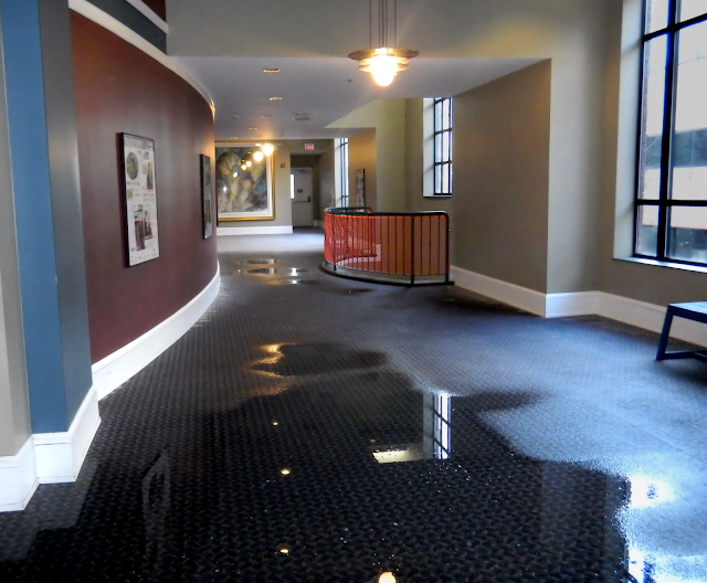 First Response Services photo 2