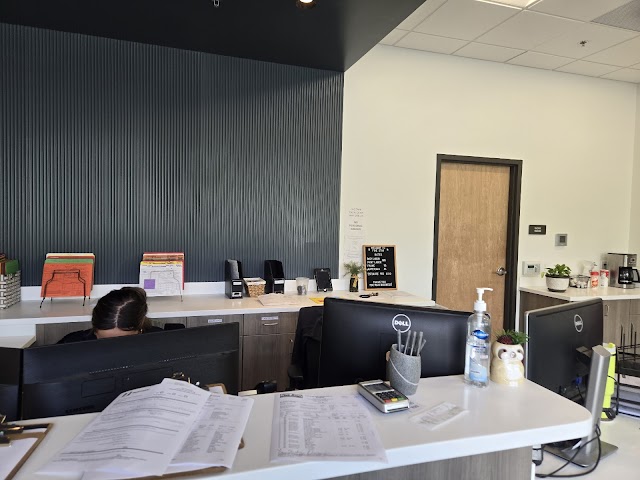 Five Star Collision Center photo 3