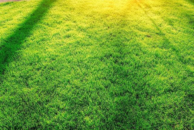 Formula Green, LLC photo 3
