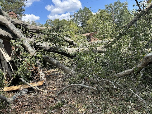 Foster's Tree Service