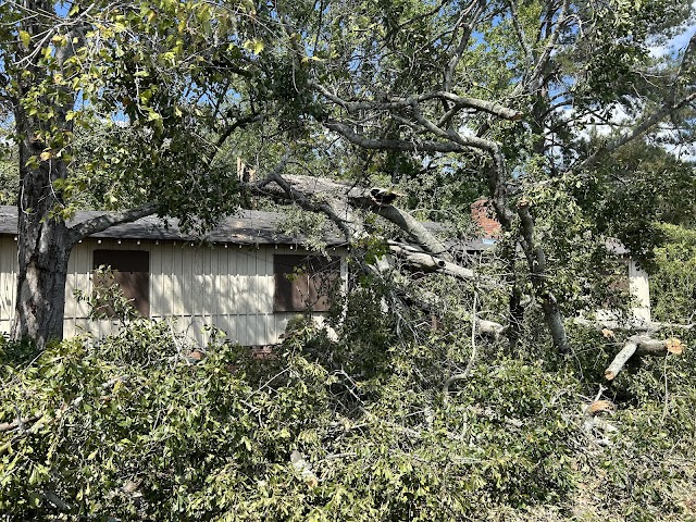 Foster's Tree Service photo 2