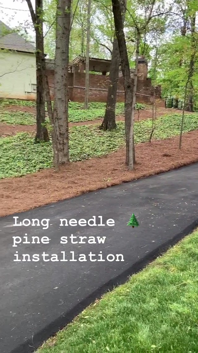 Four Seasons Atlanta Lawn Care, LLC photo 3