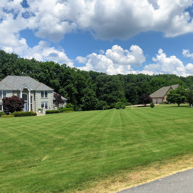 Frederick Lawn Service