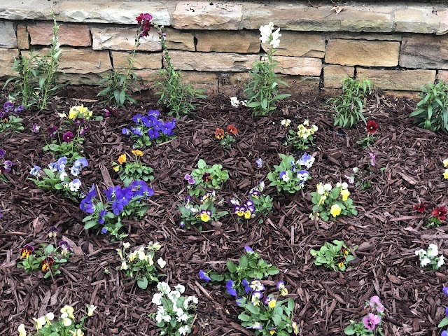 Freshcut Landscaping