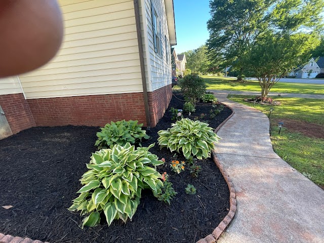 G&D Landscaping photo 3