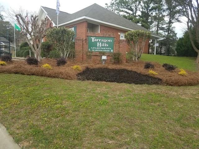 Garcia Pinestraw And Lawn Care photo 4