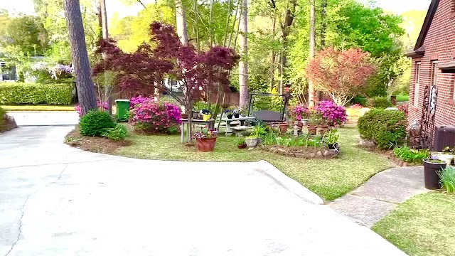 Genesis Lawn Care & Landscaping LLC photo 2