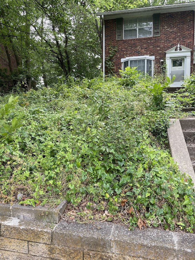 Georgia Elite Lawn Care photo 2