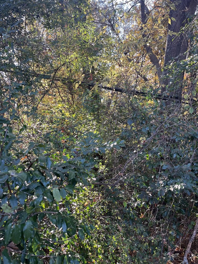 Georgia Power