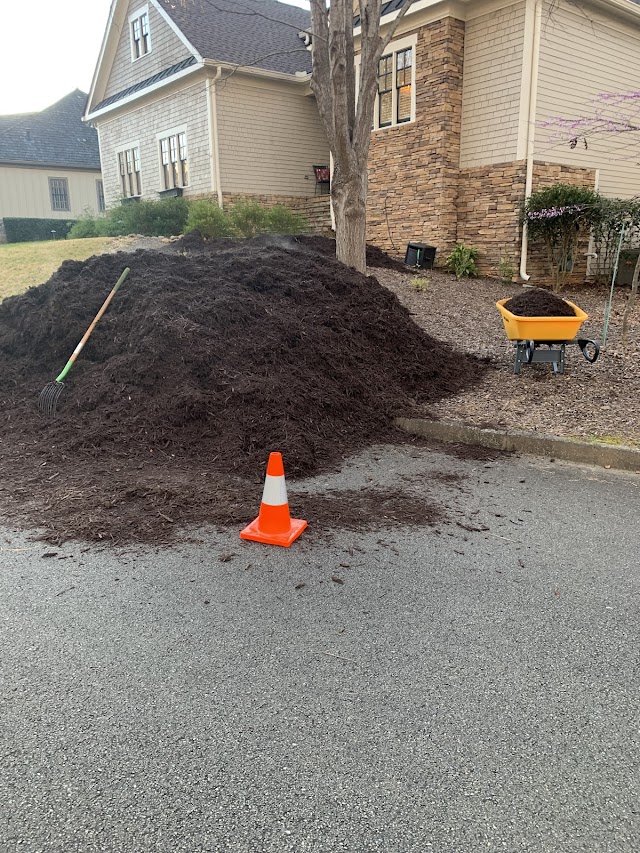 GEORGIA'S FINESSE LAWNCARE LLC photo 2
