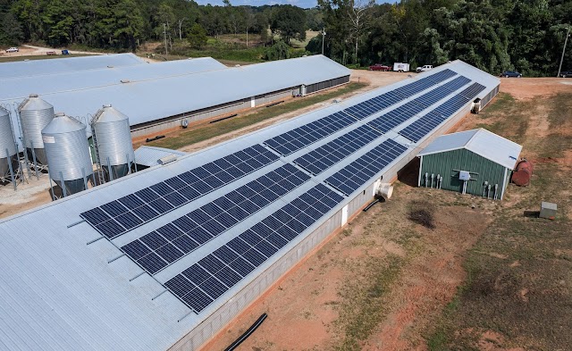 Georgia Solar and Generators