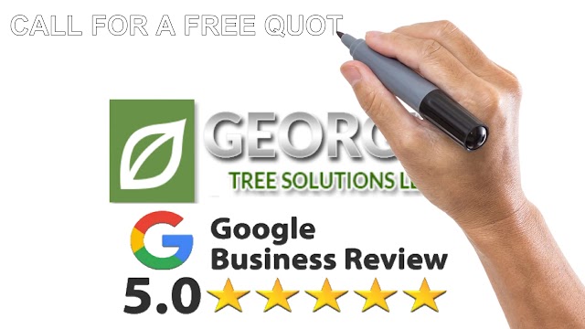 Georgia Tree Solutions Group, LLC photo 3