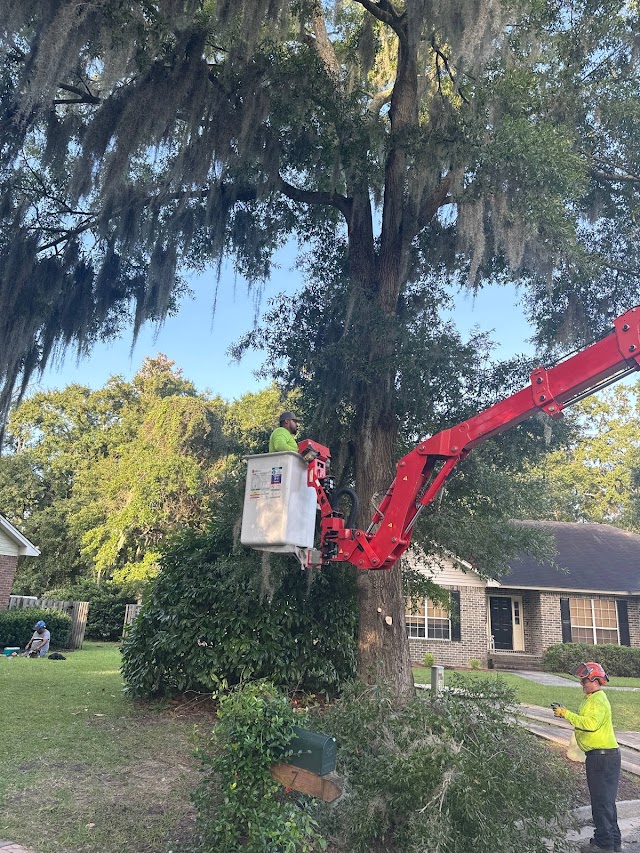 Georgia Tree Solutions Group, LLC photo 4