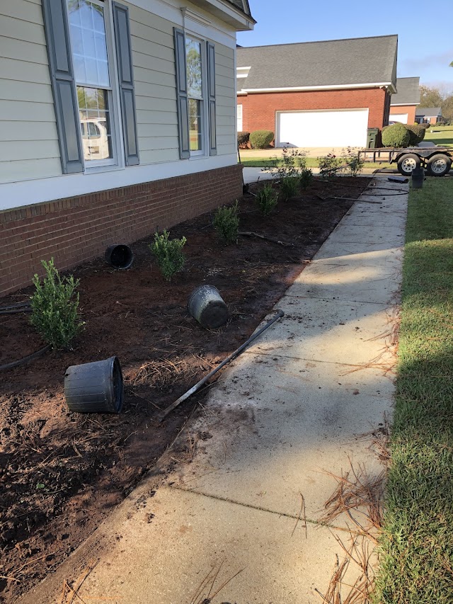 Gonzalez Pinestraw & Landscaping LLC photo 2