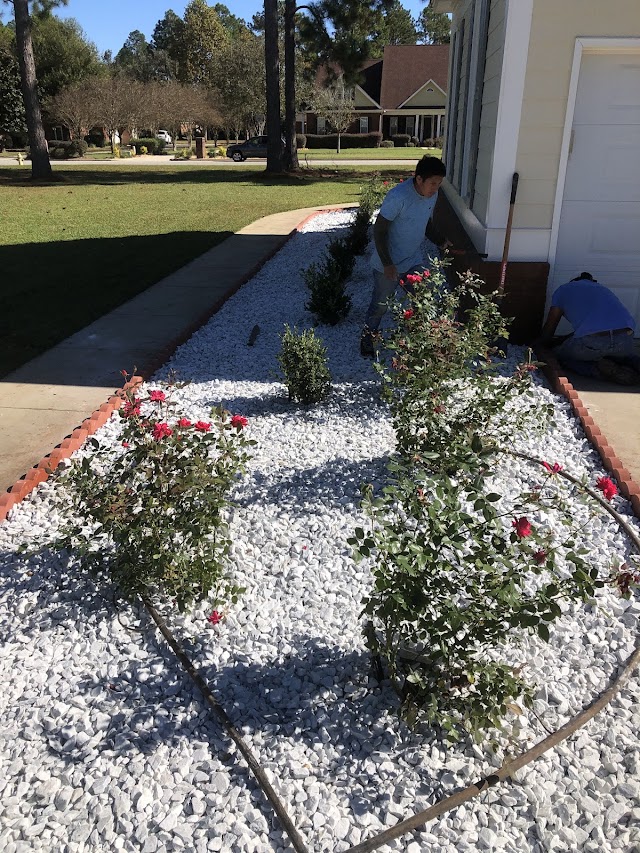 Gonzalez Pinestraw & Landscaping LLC photo 3