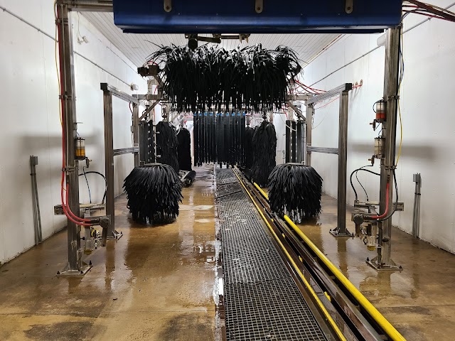 GooGoo Car Wash photo 3