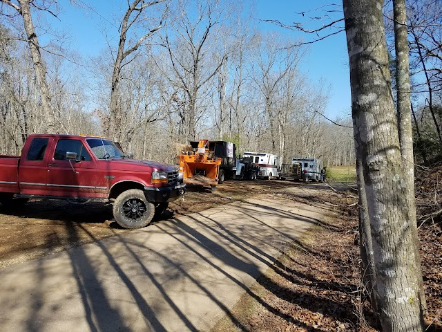 Gordon Pro Tree Service photo 3