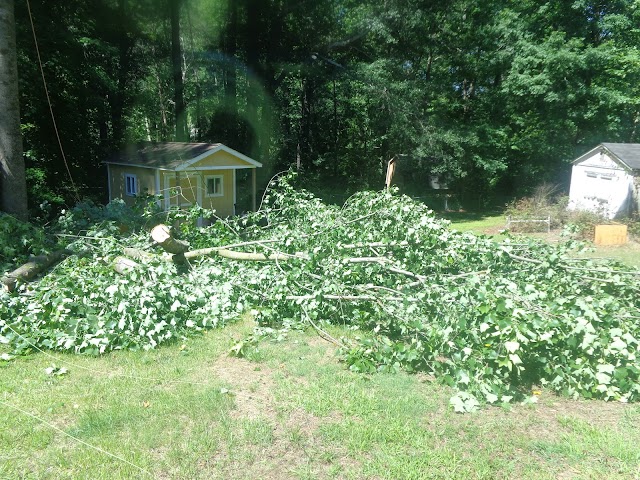 Grand Arch Tree Service LLC photo 2