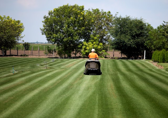 GrassMaster Lawn Care, Inc. photo 3