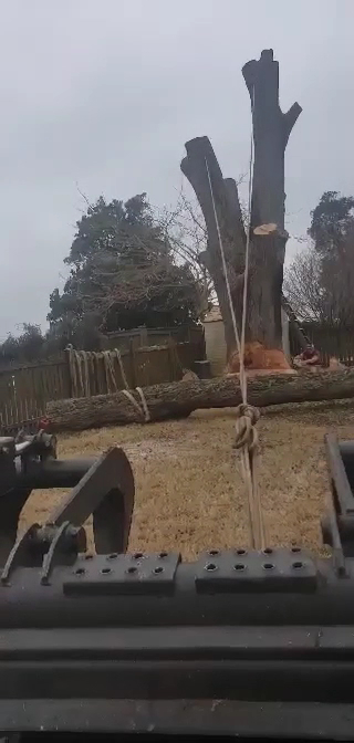 Gray Brothers Tree Service photo 3