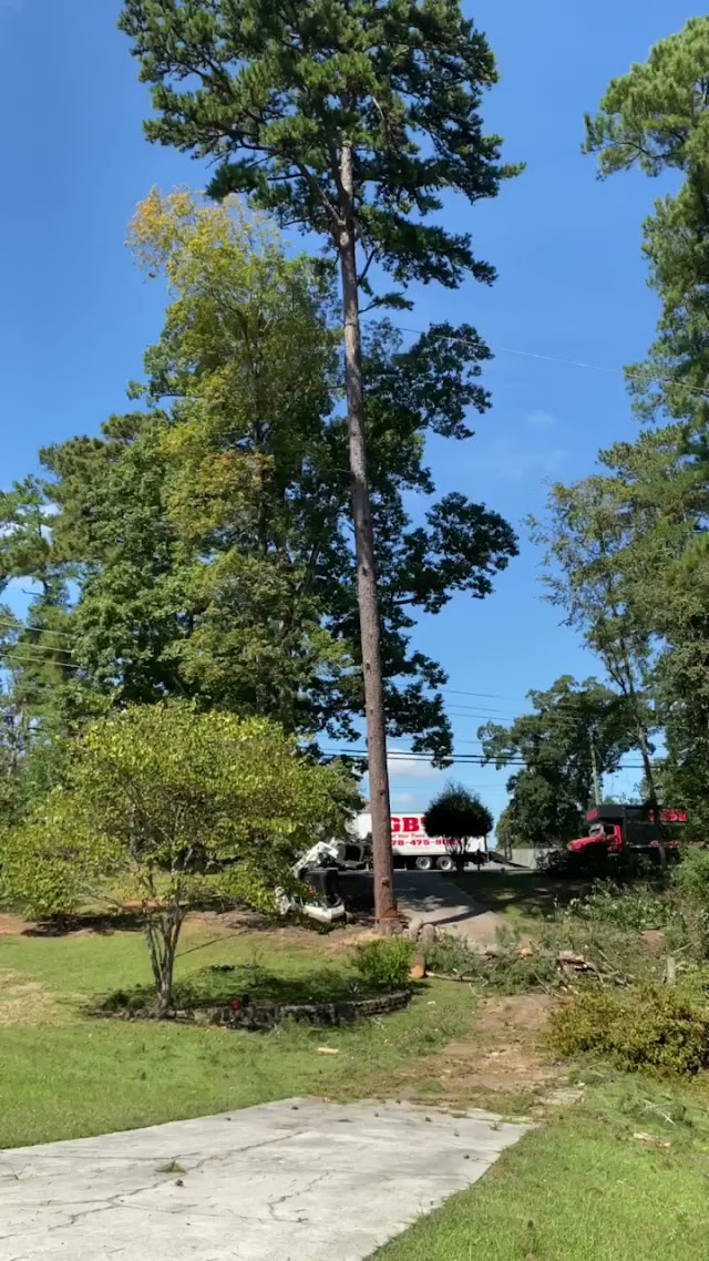 Gray Brothers Tree Service photo 4