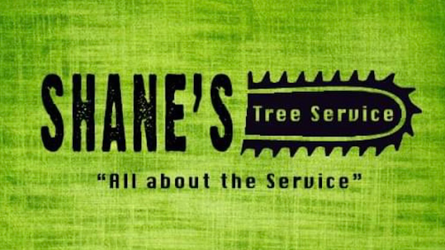 great tree service