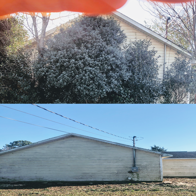 great tree service photo 2