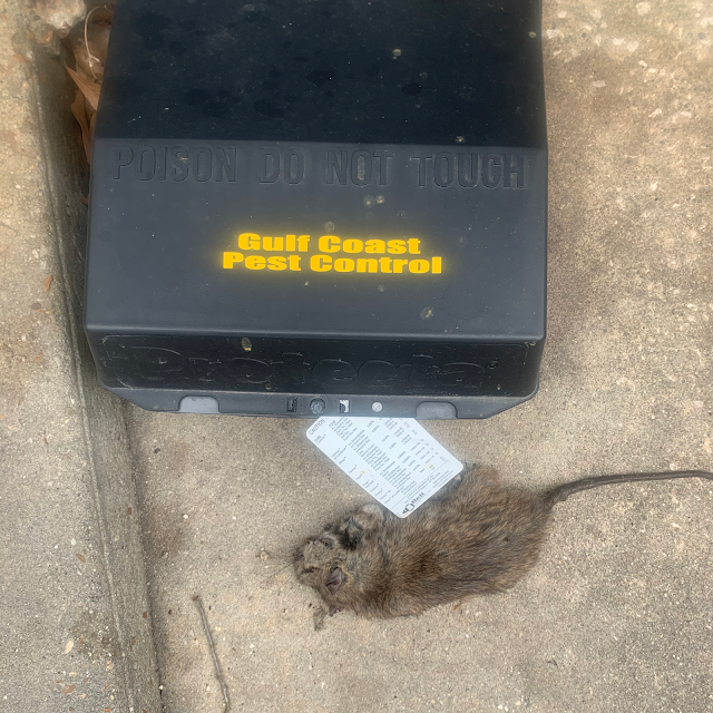 Gulf Coast Pest Control photo 2