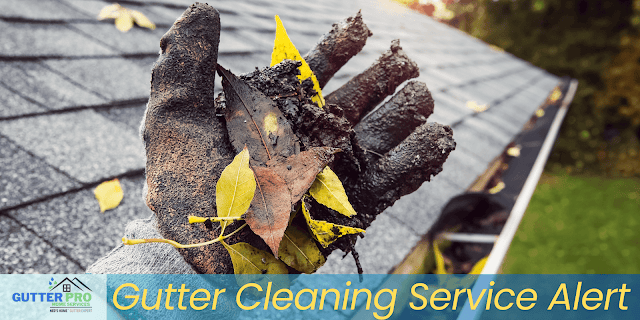 Gutter Pro photo 2