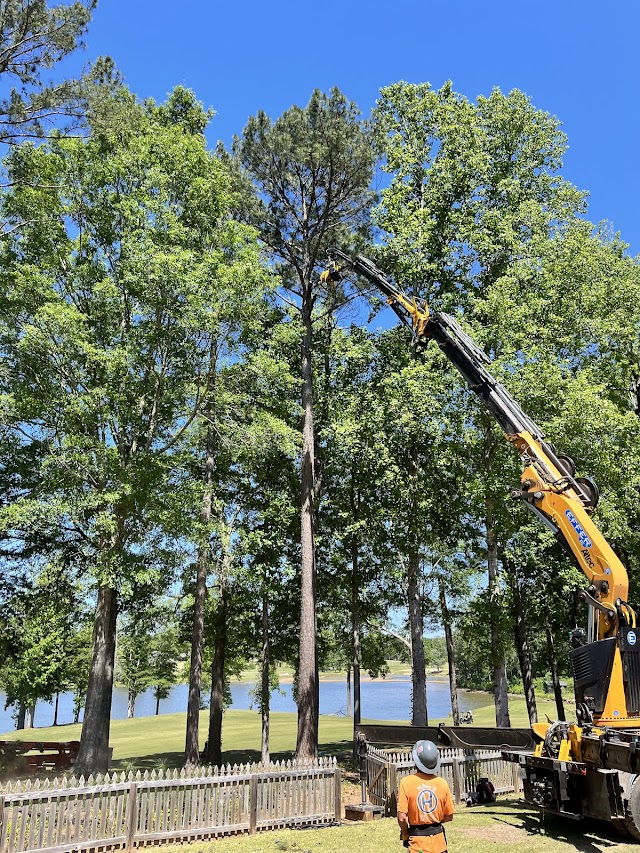 Hall's Tree Service photo 2