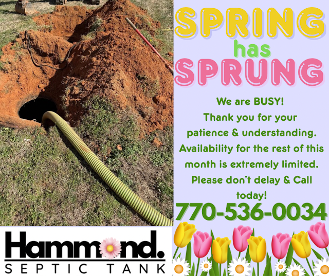 Hammond Septic Tank photo 3